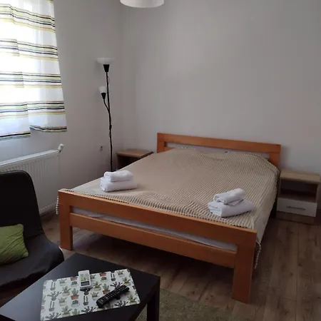 V & V Studio Apartments Nis Room photo